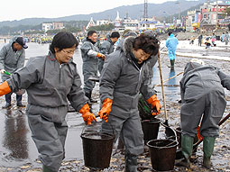 救世軍ソヘ連隊の士官がマリポ海岸で原油の除去作業を行う